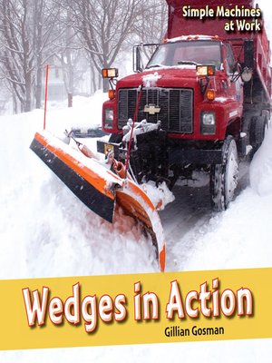 cover image of Wedges in Action